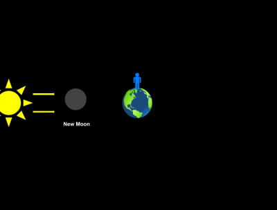 Interactive Phases of the Moon 