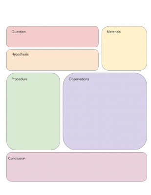scientific method graphic organizer